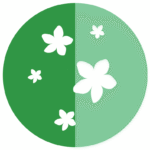 Pesuvärskendaja Bollino